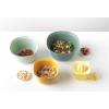 Brabantia Tasty+ Mixing Bowl Set with Colander and juicer(Classic)