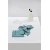 Brabantia x2 Microfiber Cleaning Dish Cloths (Dark Gray) Absorbent Hygenic Rags for Washing, Cleaning, Drying (12×12)(Mint)